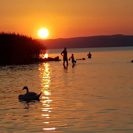 Next To The Beach * Σίοφοκ